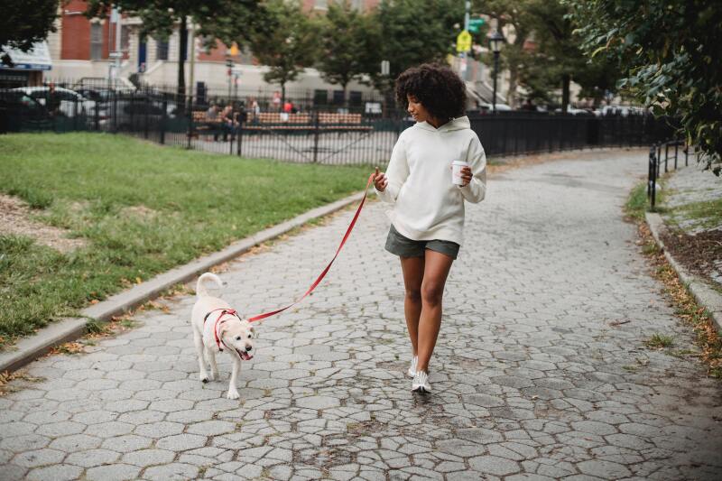 Woman walking dog with a coffee in hand