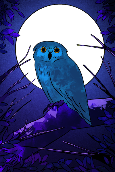 Night owl chronotype