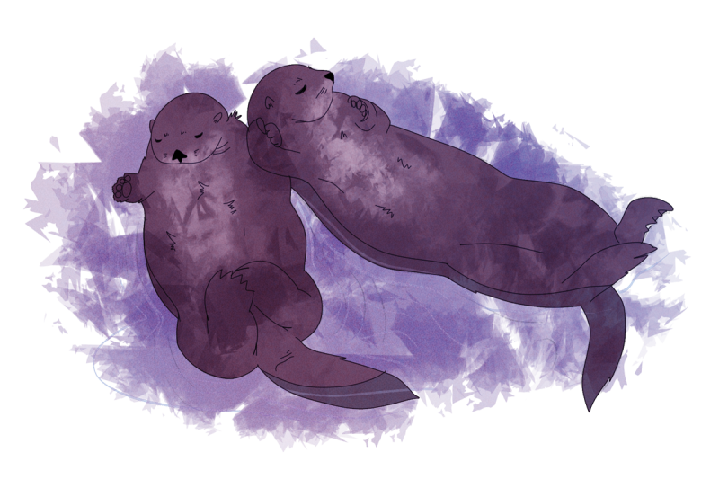 Two otters sleeping on their backs