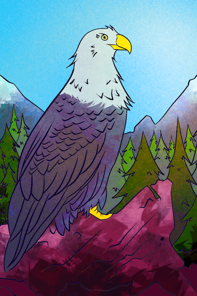 Eagle illustration